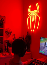 spider